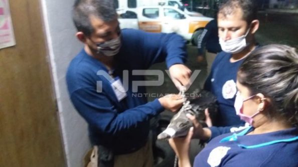 SEGURIDAD BAHIA 18476