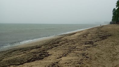 1952EE7B-DA7A-41FD-9C9E-9A3F9D4AEB56