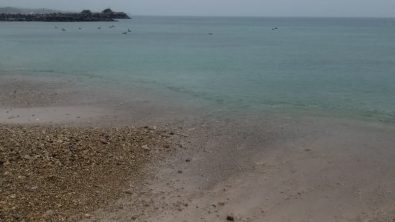 93A0B10B-32D3-46FB-85DA-BC0CF2526DF9