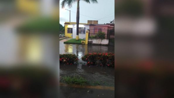 COMUNICADO 007
