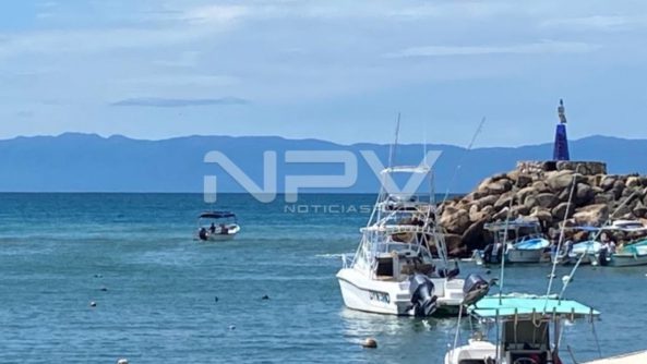 SEGURIDAD BAHIA 005