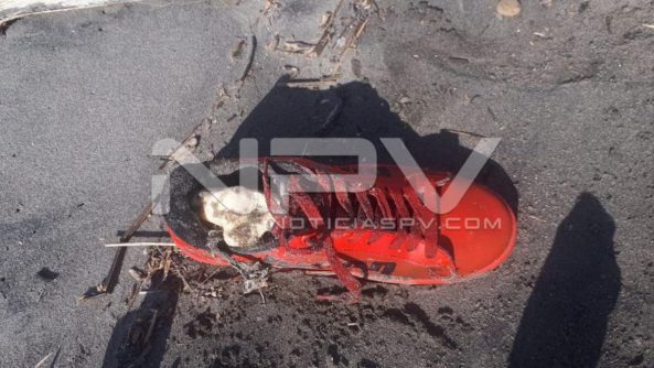 SEGURIDAD BAHIA 008