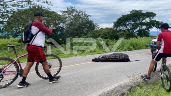 SEGURIDAD BAHIA 21301