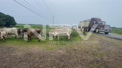 SEGURIDAD BAHIA 003