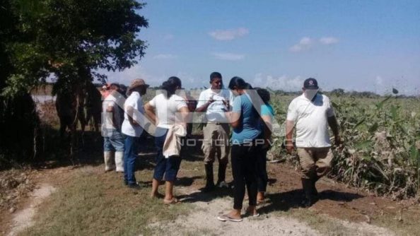 SEGURIDAD 006