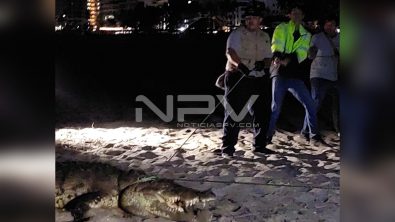 929ADF18-C812-4762-8876-05448182CB5B