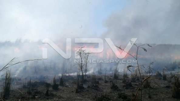 SEGURIDAD 006