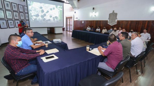 COMUNICADO001