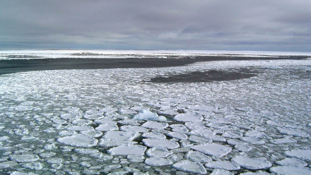 El Hielo Marino De La Antártida Experimenta Un “enorme Descenso